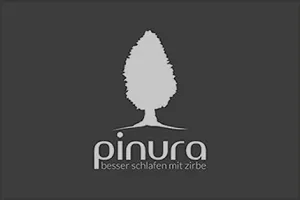 pinura